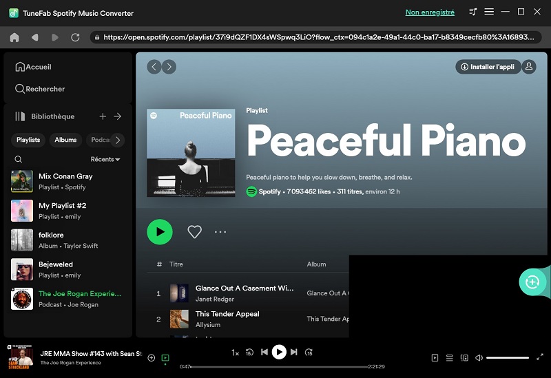 Ajouter la musique Spotify à convertir